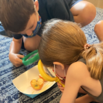 kids examining apples