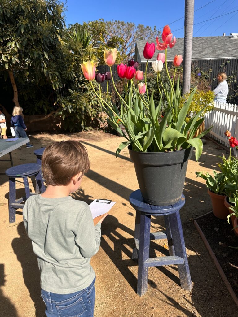 Gillispie School Preschoolers' Nature Walk